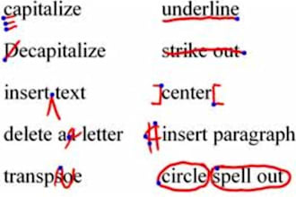 edit ANYTHING within 1000 words in 2 days