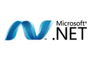 help you make a new website, solve problems of your Dot Net applications