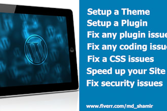 customize, fix coding issues, fix plugin issues to your wp website