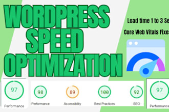 speed up wordpress website and do performance optimization