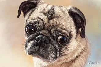 draw a realistic illustration of your pet