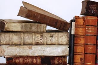 translate a text of less than 500 words in French