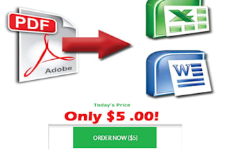 convert PDF into Excel or Word within 20 hours