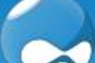 setup and install Drupal, multilang if you want, plus 10 days of free suport