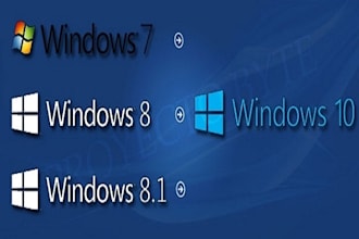 guide you through microsoft windows installation