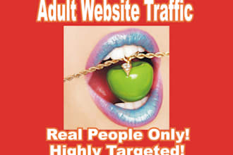 send 2000 real adult visitors to your website