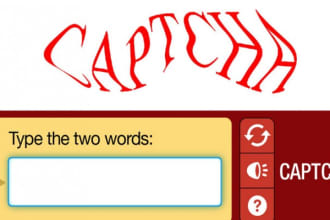 add google recaptcha or solvemedia to website