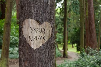 put your message On a Love Tree Curve
