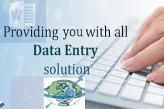 do data entry services,PDF to excel, word  work for 5 dollars