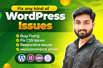 fix wordpress issues, responsive issues, wordpress errors