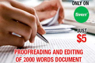 proofread and edit any type of word document