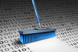 clean any data you give me