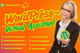 be your professional wordpress virtual assistant