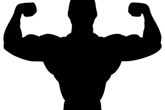 create a personalized training program based on your needs