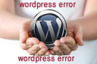 fix wordpress issues , wordpress errors or problem