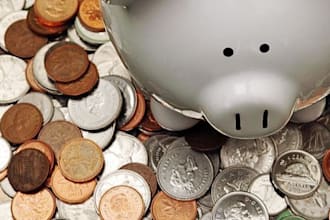 send you over 390 high quality articles on Investing
