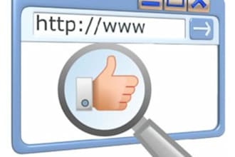 give you a professional review of your website Design