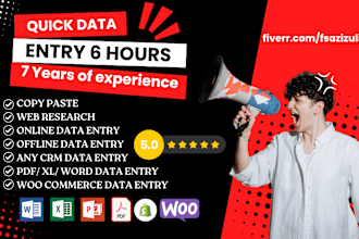 do accurate quick data entry, excel data entry, copy paste 6 hours