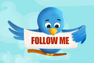 teach you how to send your website's RSS feed to your twitter followers