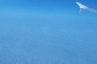 organise a christmas trip