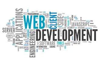 design, develop professional website