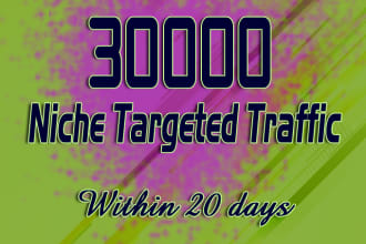 drive unlimited niche targeted website, traffic, visitors for 20 days