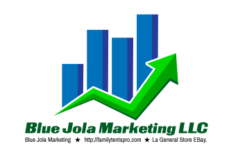 do charismatic logo design with express delivery