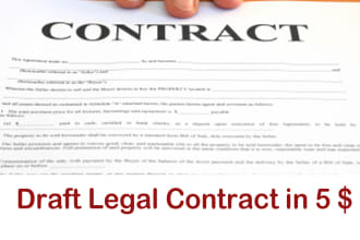 draft a Legal Contract in 1 day