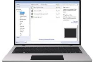 website and Windows application dot net