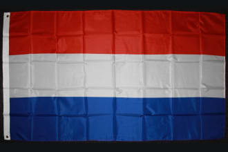 translate from English to Dutch