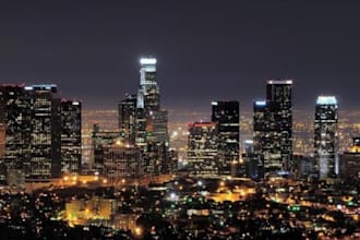 hand out flyers in Los Angeles promoting your website/product