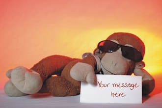 send you 3 HQ photos of my Monkey holding your custom message or logo