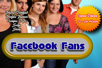 add 1000 Facebook Fans or LIKES within 24 Hours to any Fan Page Guaranteed
