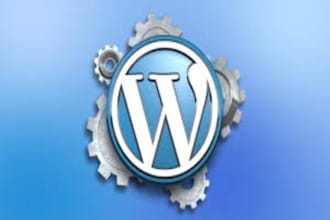 install any wordpress script in an hour