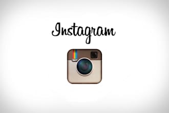 add 1500 instant  Instagram followers or likes to increase Visibility