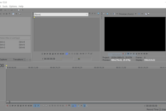 edit a video for you using Sony Vegas Pro 13