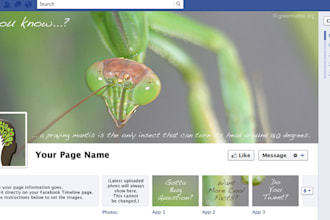design matching Facebook TIMELINE cover and profile photo with app thumbnails and share page to 10K+ Fb/Twitter/Linkedin connections addons