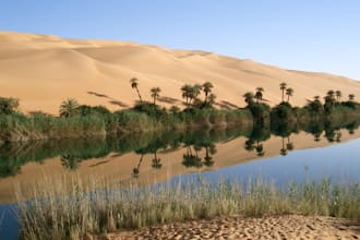 be the calm oasis to help you relax and get it done