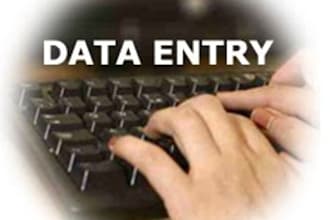 do data entry in Microsoft excel