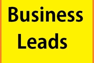 provide 100 to 300 targeted local business leads