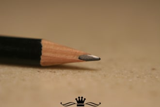 copy and rewrite texts , read and summerize
