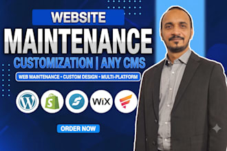 handle website maintenance and design customization for any cms