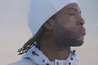create a low poly portrait