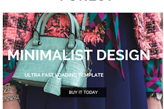 install this ECommerce Wordpress Theme