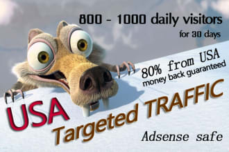 drive unlimited usa targeted real website traffic, visitors