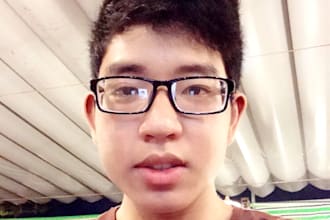 do singing by vn