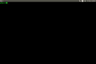 manage the servers and troubleshooting