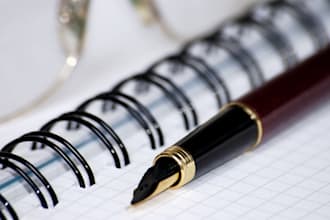 write your article professionally