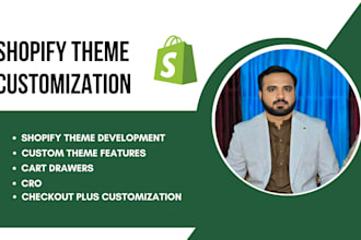 fix shopify bugs, theme customization, plugins ,custom