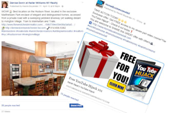 manage your social media accounts daily for max exposure